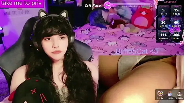 BimboCat